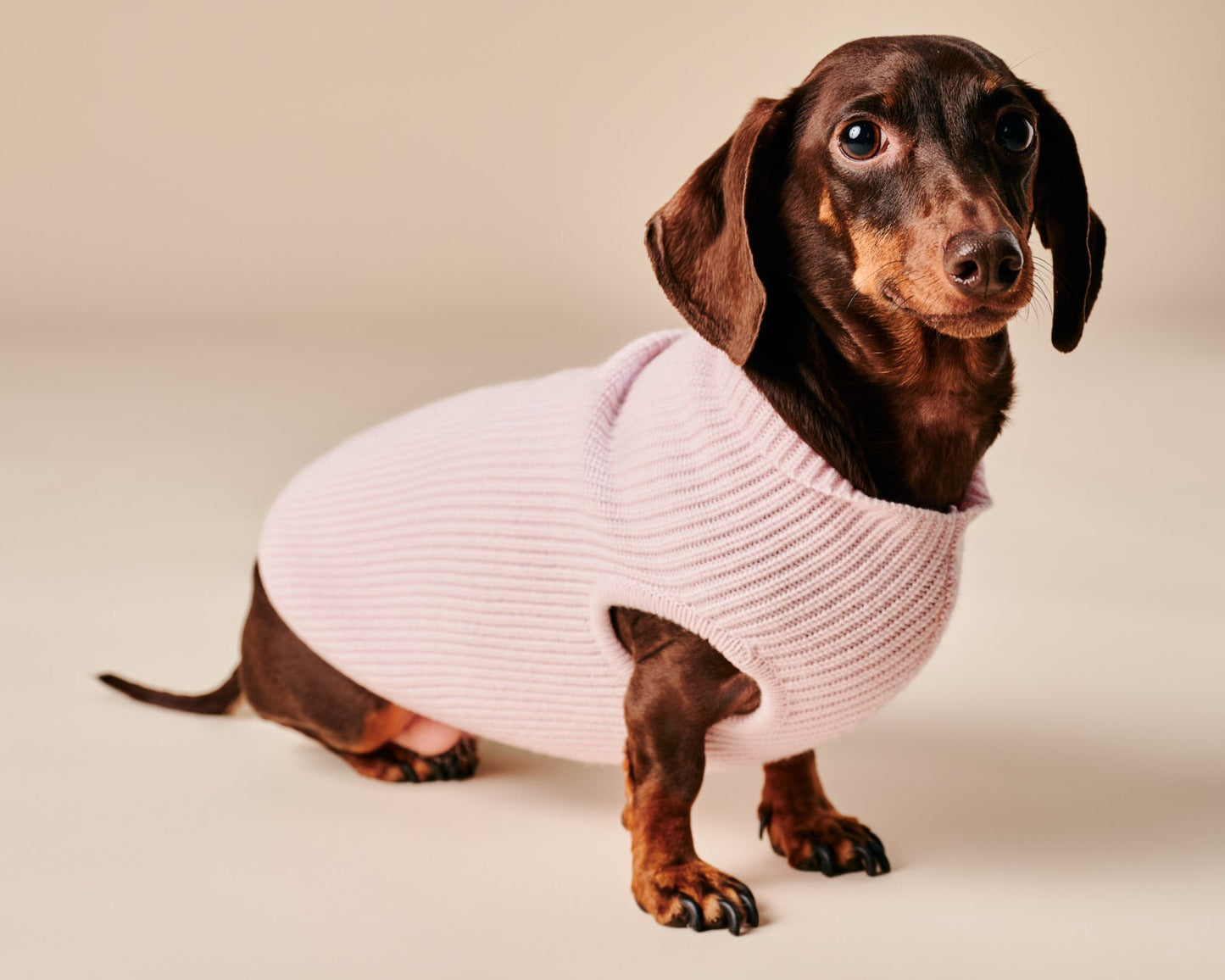 Ellie Sweater