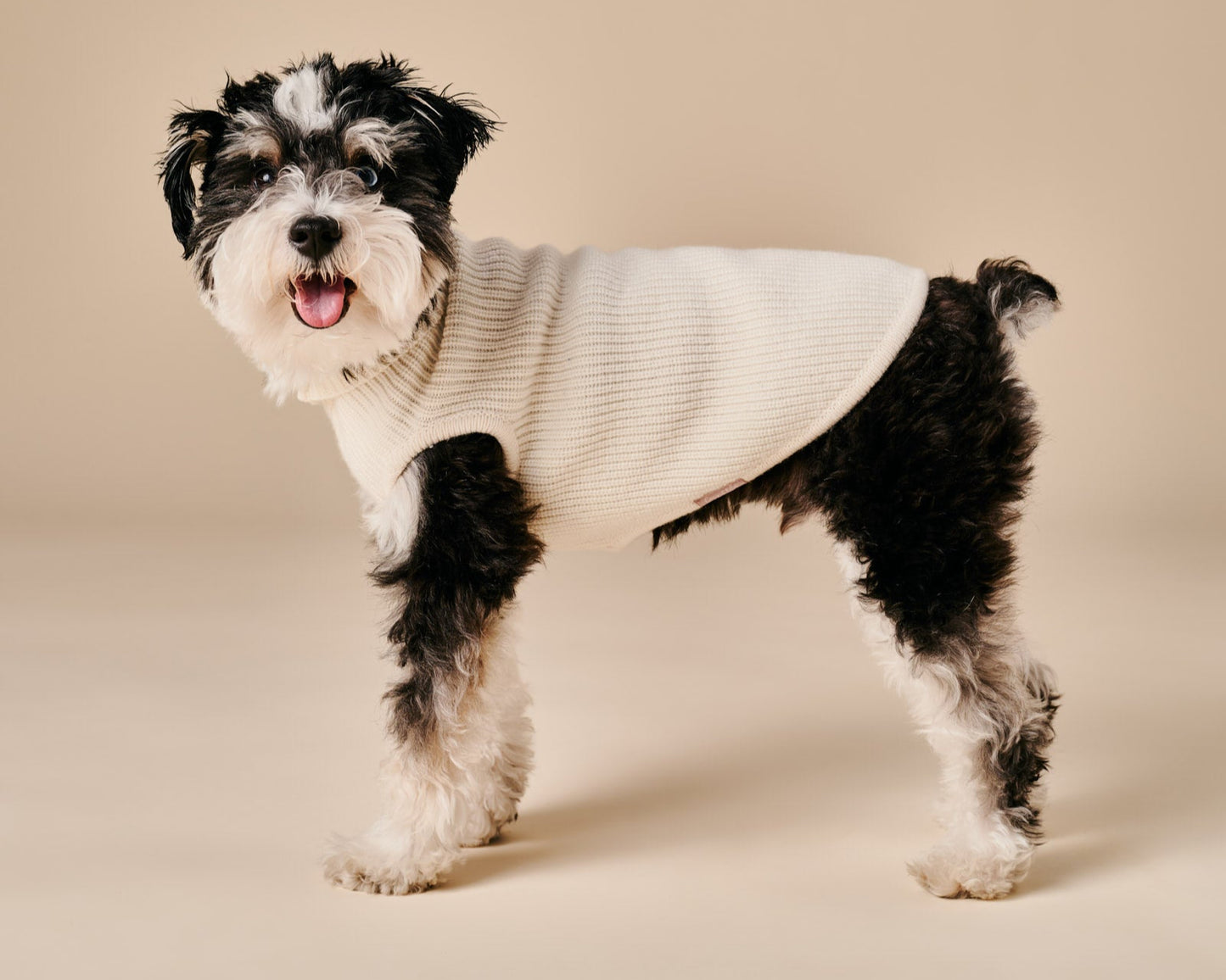 Ellie Sweater