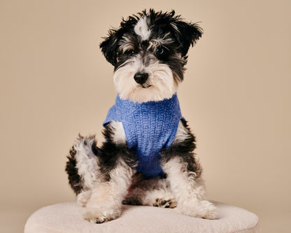 Coco Sweater