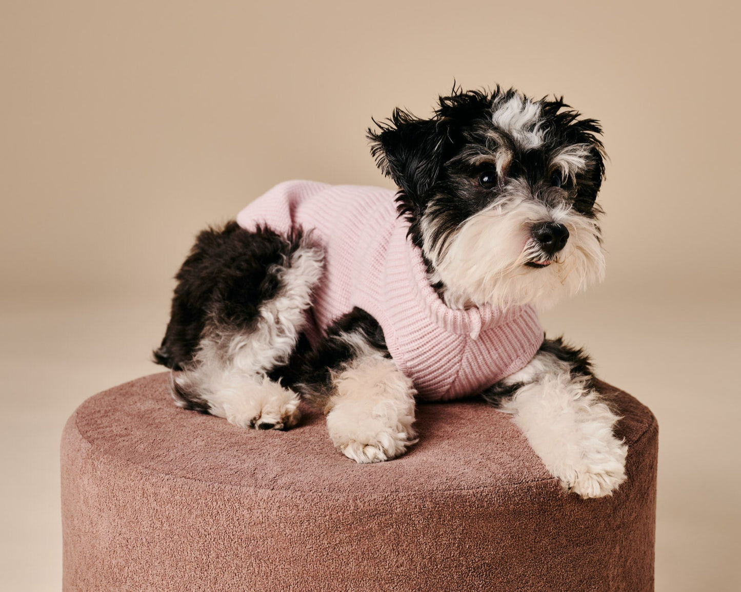 Ellie Sweater