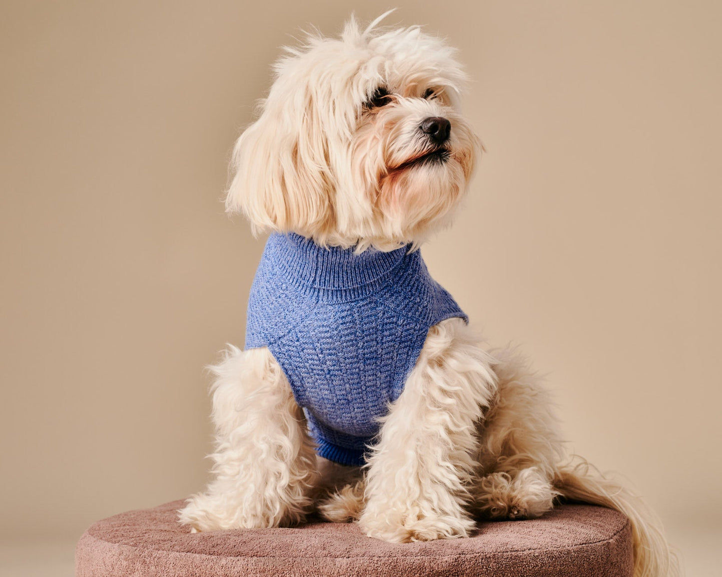 Coco Sweater