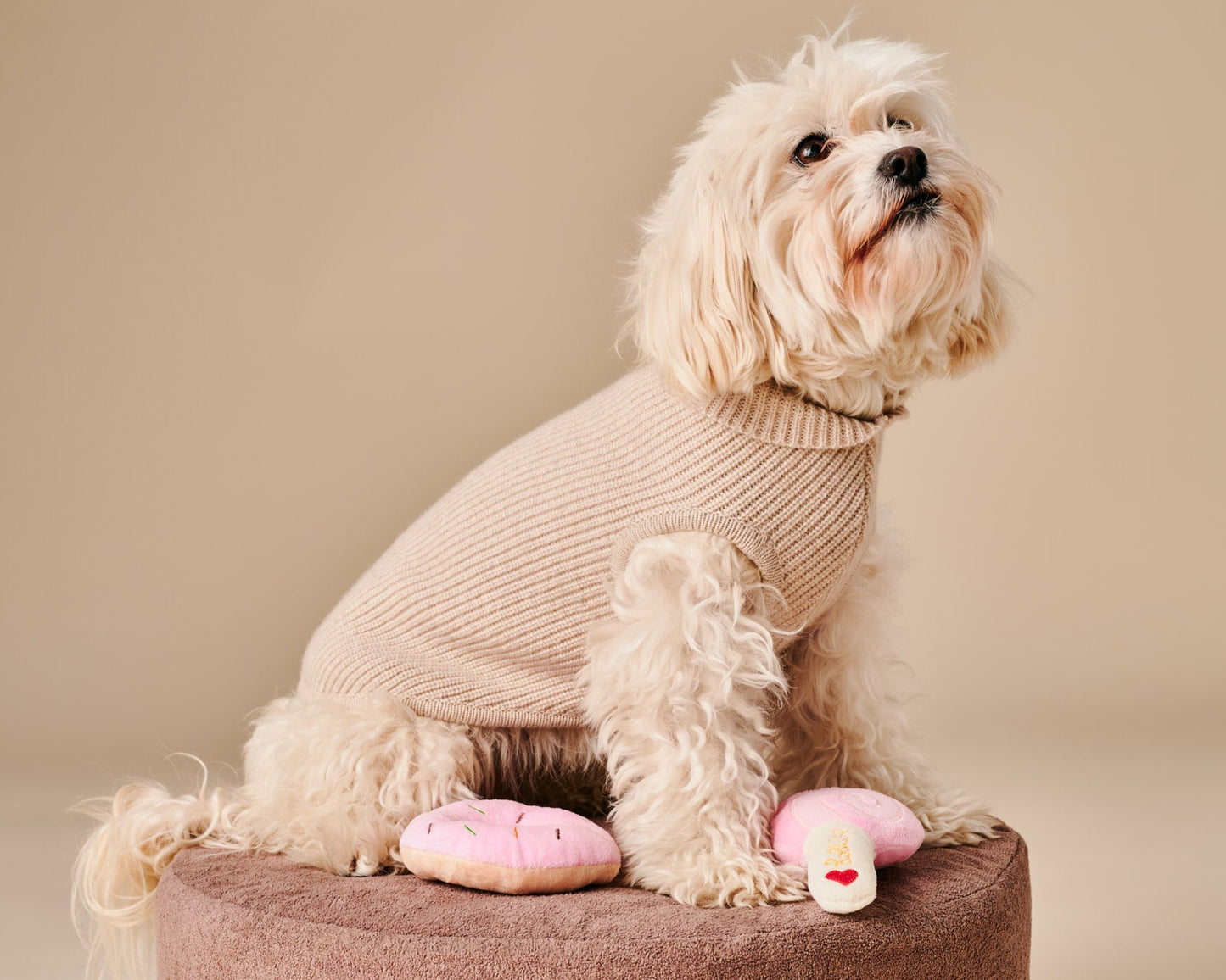 Ellie Sweater