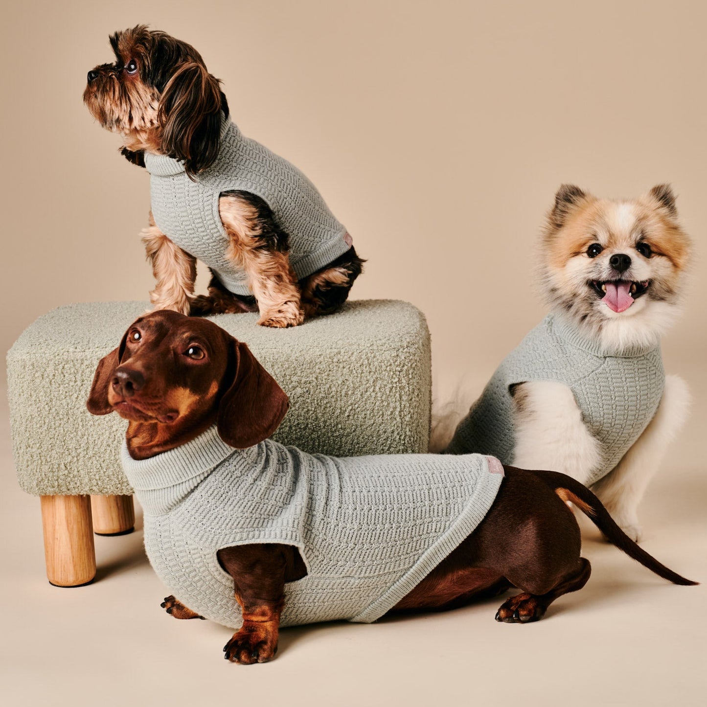 Coco Sweater