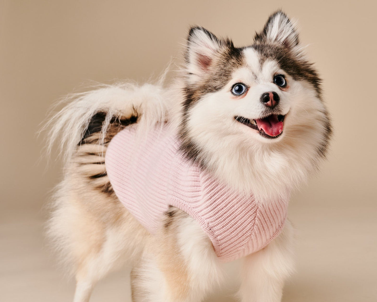 Ellie Sweater