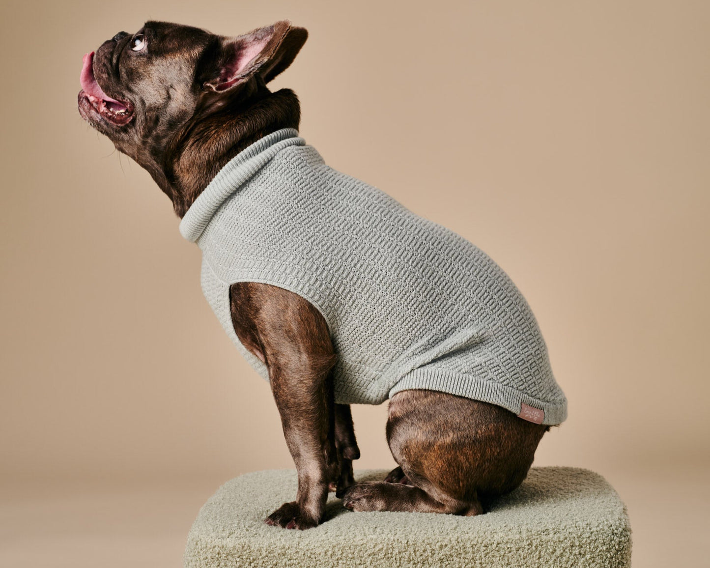 Coco Sweater