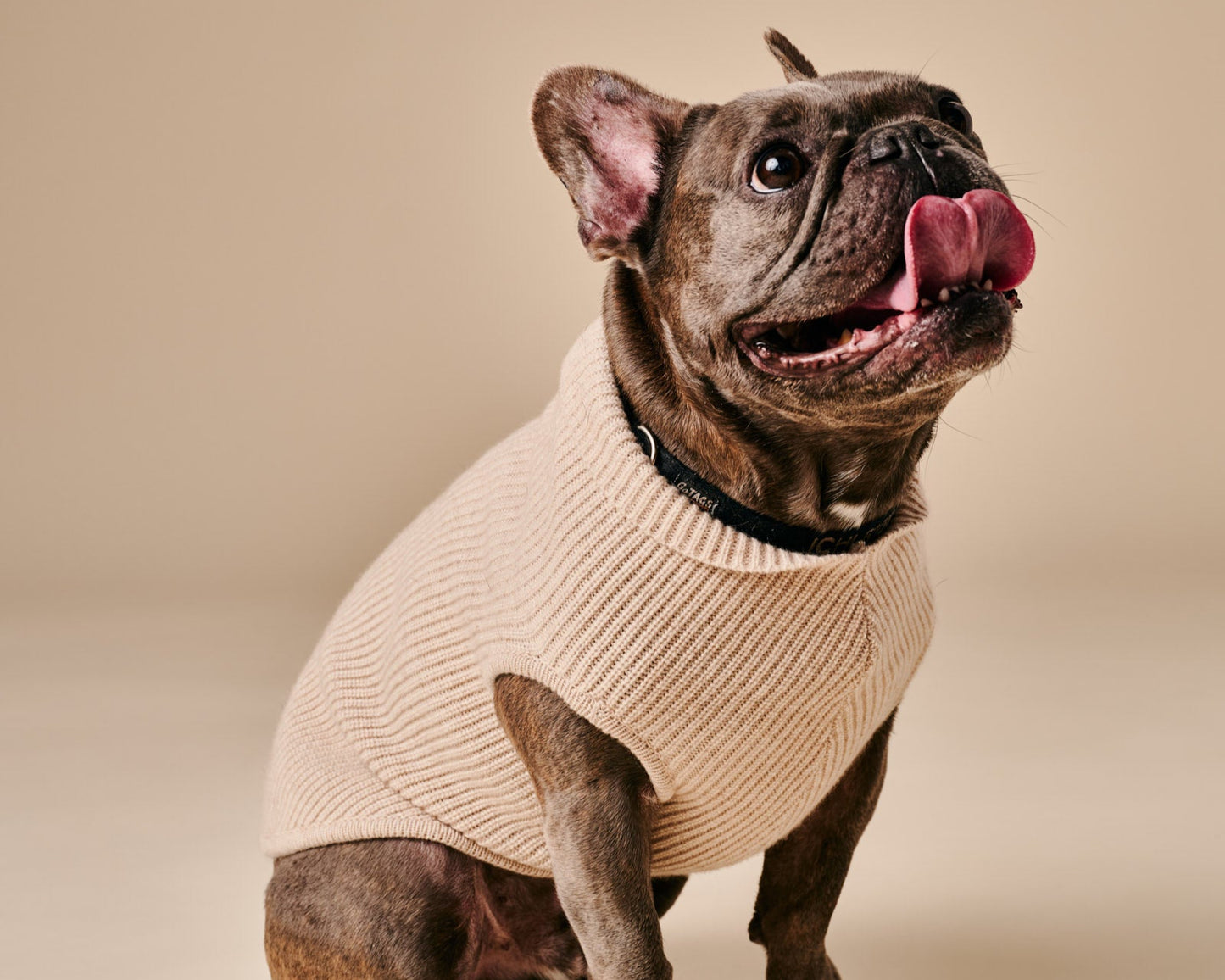 Ellie Sweater
