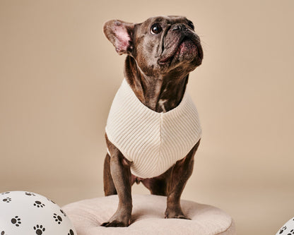 Ellie Sweater