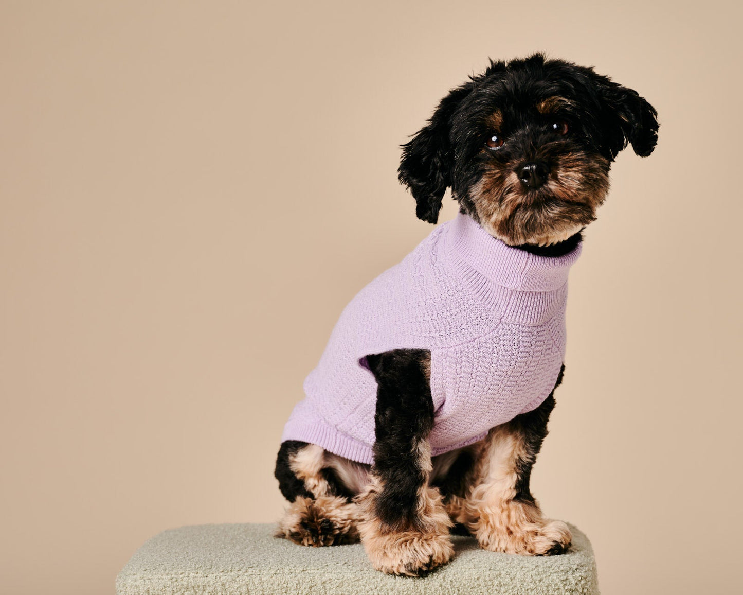 Coco Sweater