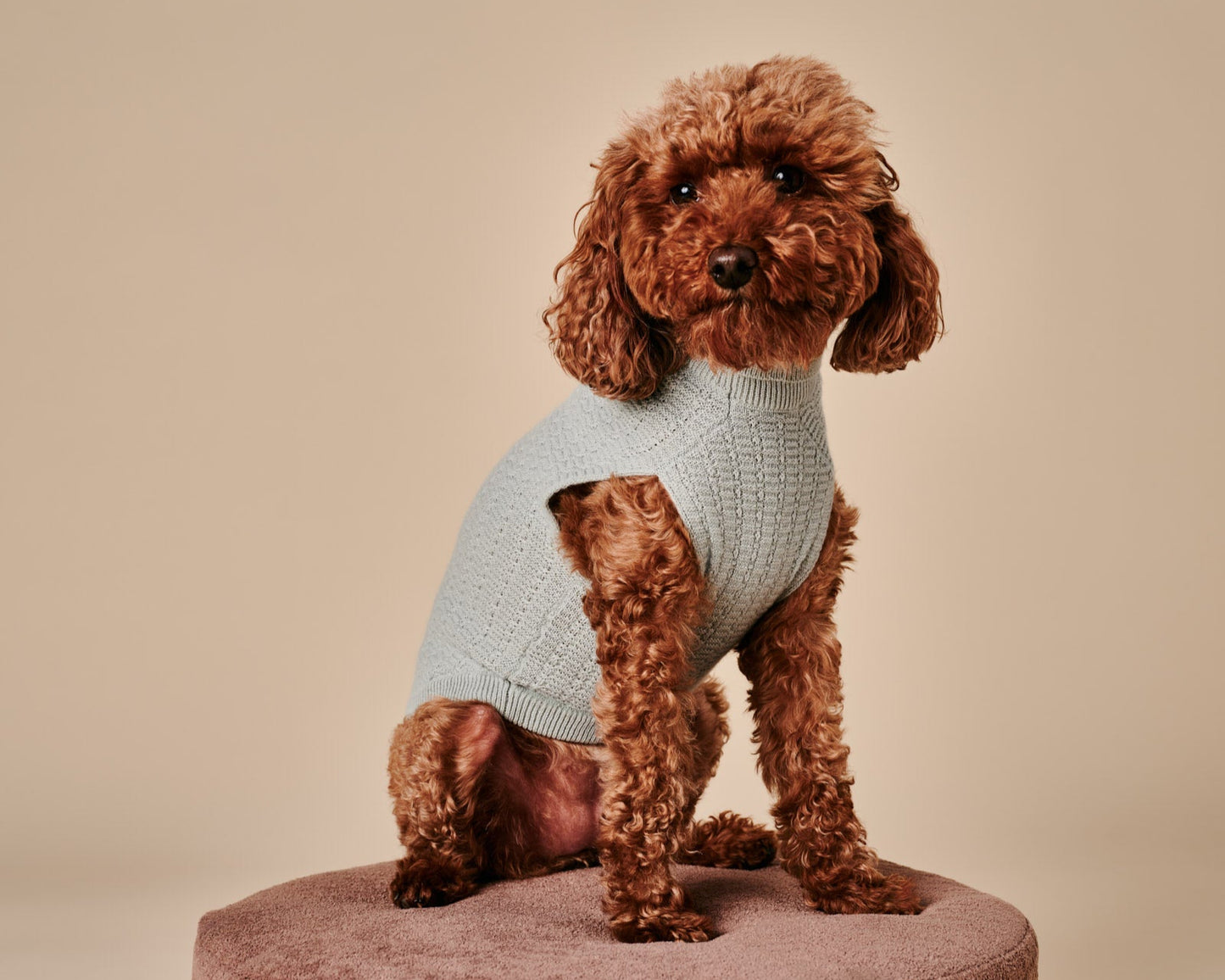 Coco Sweater