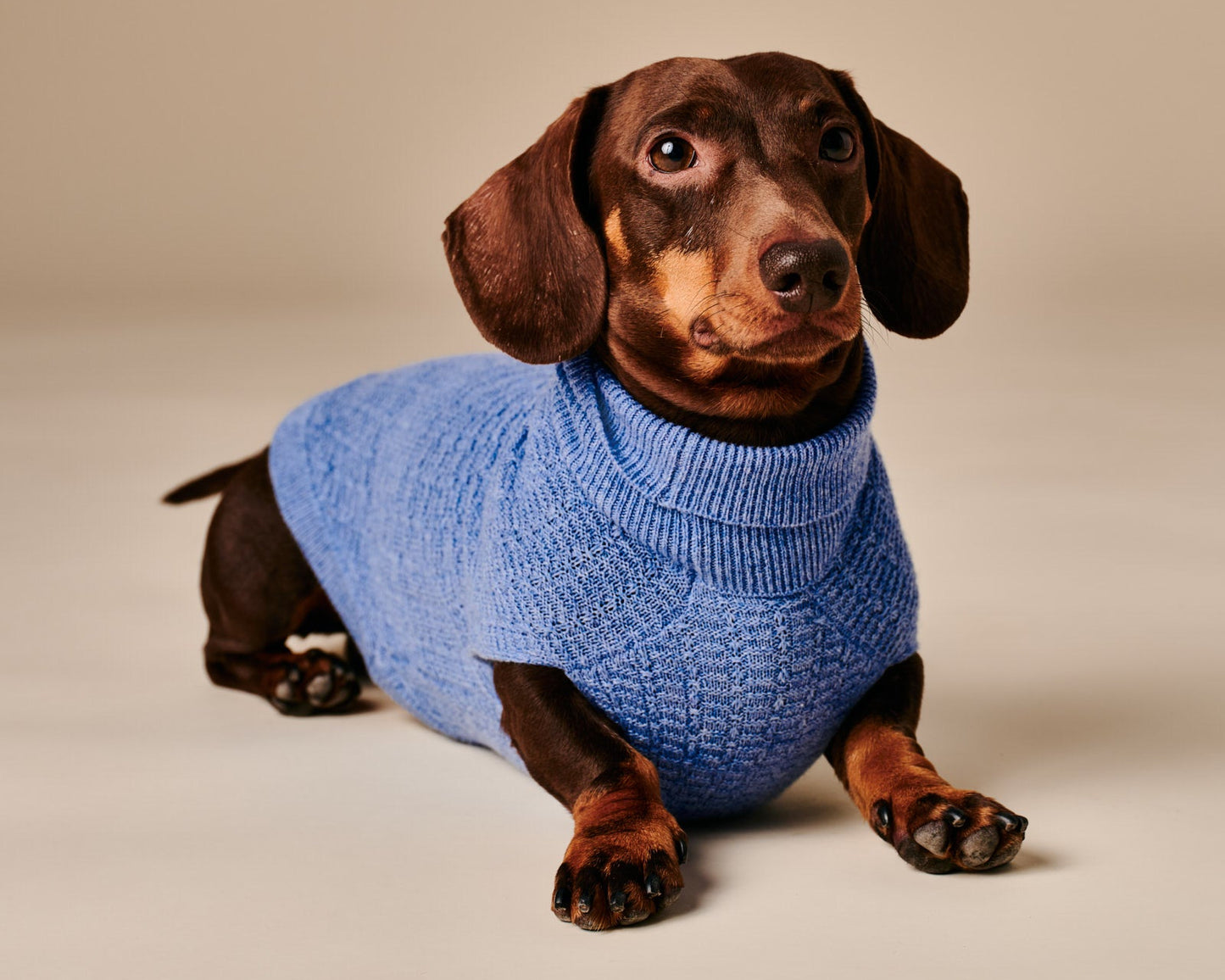 Coco Sweater