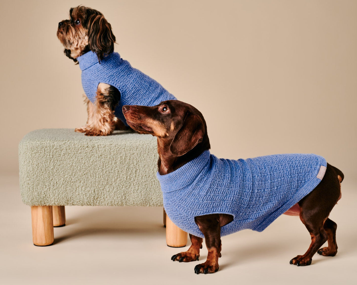 Coco Sweater
