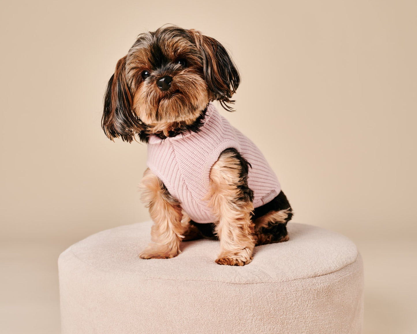 Ellie Sweater