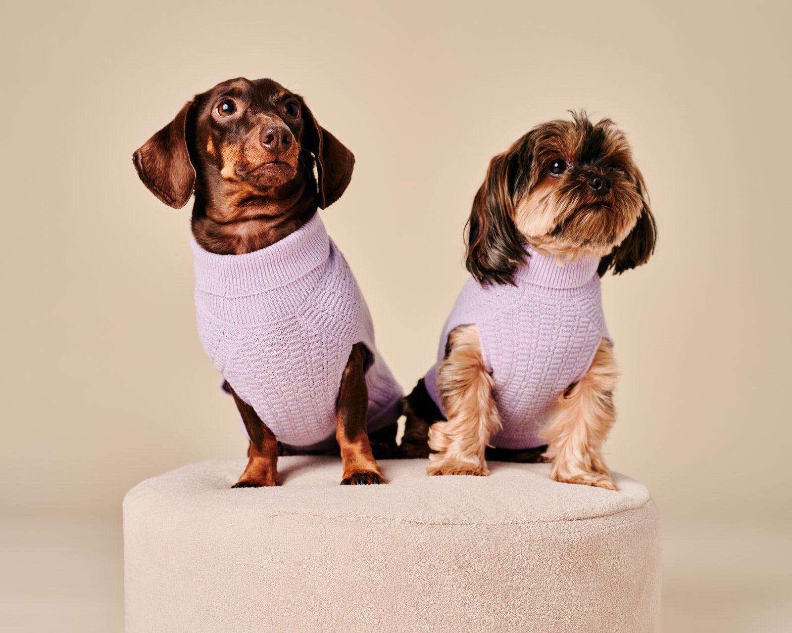 Coco Sweater – Coco & Ellie