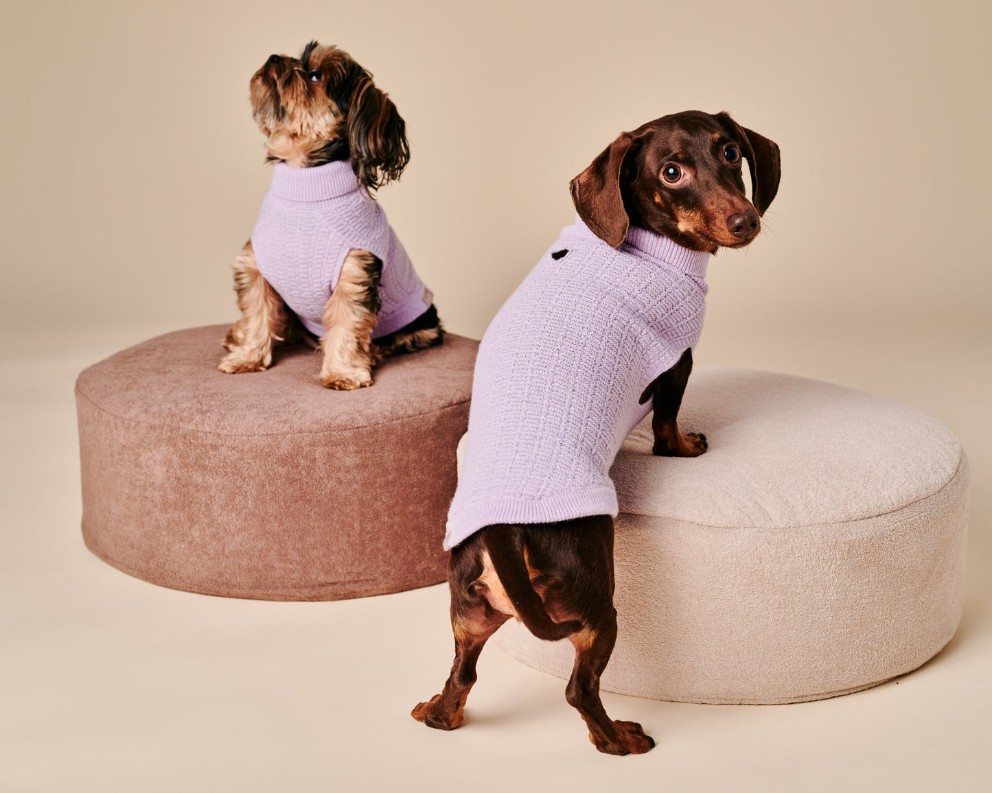 Coco Sweater